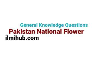 Pakistan National Flower, National Flower of Pakistan, Pakistan National Flower Name in urdu