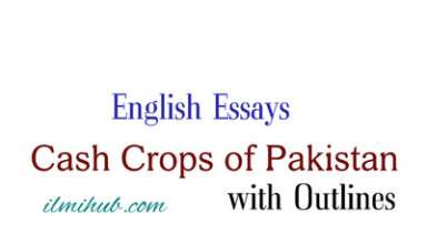 Cash Crops of Pakistan Essay, Essay on Cash Crops of Pakistan with Outline, Essays for BCom