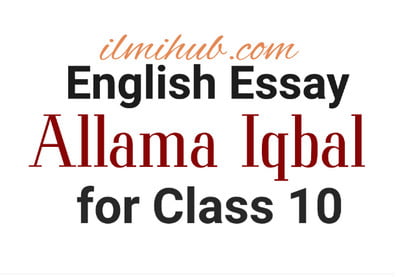 essay on allama muhammad iqbal in english