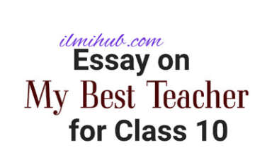 my best teacher essay