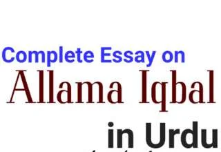 essay on Allama Iqbal in Urdu, Allama Iqbal Essay in Urdu, Allama Iqbal Essay Urdu