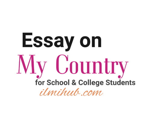 my homeland essay