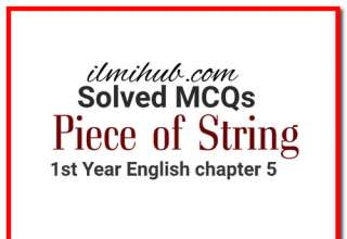 The Piece of String MCQs, 1st Year English Chapter 5 MCQs