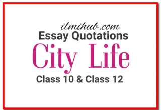 City Life essay quotations, Quotations for essay on city life, city life essay with quotations,