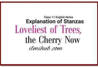 1st Year English Poem 3 Explanation the Cherry Now Explanation