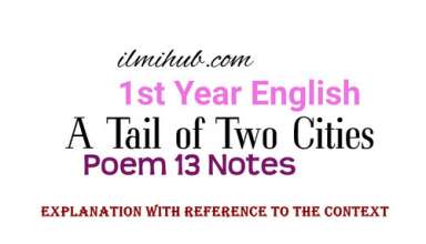 A Tail of Two Cities Poem Explanation of stanzas