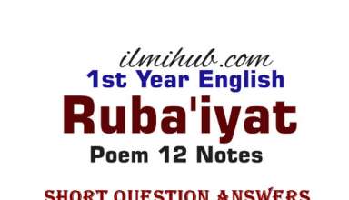 Ruba'iyat Poem Questions and Answers, Rubiyat poem Short Questions