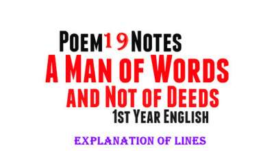 A Man of Words and Not of Deeds poem Explanation