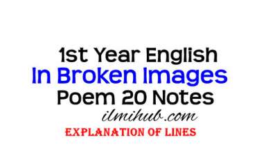 In Broken Images Poem Explanation