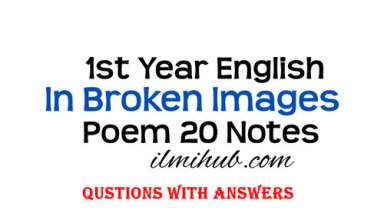 In Broken Images Poem Question Answers