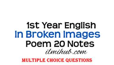 In Broken Images Poem MCQs