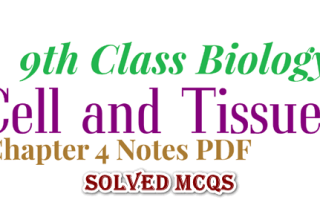 9th class biology chapter 4 solved mcqs notes, class 9 biology chapter 4 mcqs notes pdf