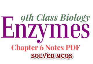 Biology Class 9 Chapter 6 MCQs, Class 9 Chapter 6 MCQs, 9th Class Biology Chapter 6 MCQs, MCQs for Class 9 Biology Chapter 6, Enzymes MCQs