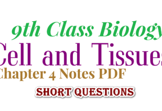 Class 9 Biology Chapter 4 Short Questions Notes, 9th Class Biology Chapter 4 Short Questions Notes PDF Download