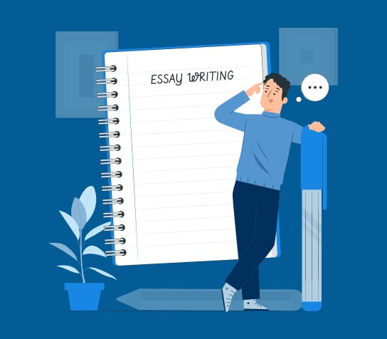 Basics of Essay Writing, Essay Writing