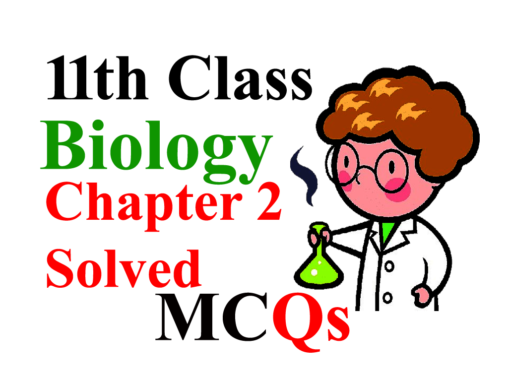 Class 11 Biology Notes Chapter 2 MCQs - Biological Molecules - Ilmi Hub