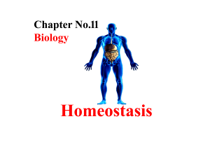 Class 10 Biology Chapter 11 Notes, 10th Class Biology Chapter 11 Notes, Class 10 Biology Homeostasis Chapter No.11 Notes,