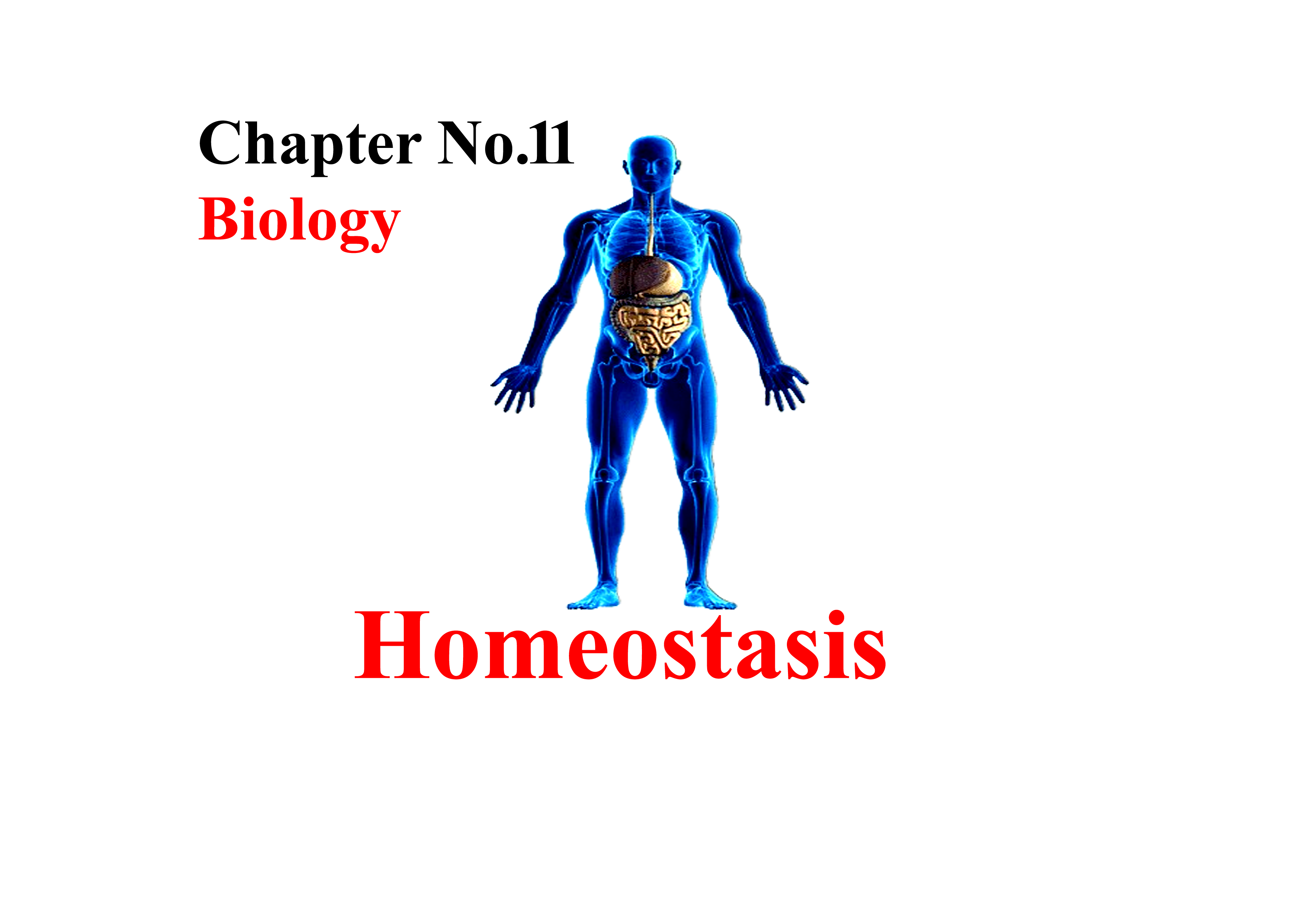 biology class 10 chapter 11 homeostasis