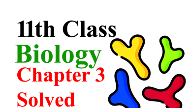 biology class 11 chapter 11 mcqs