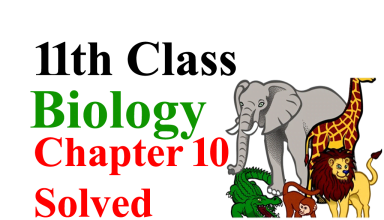 class 11 biology chapter 10 notes