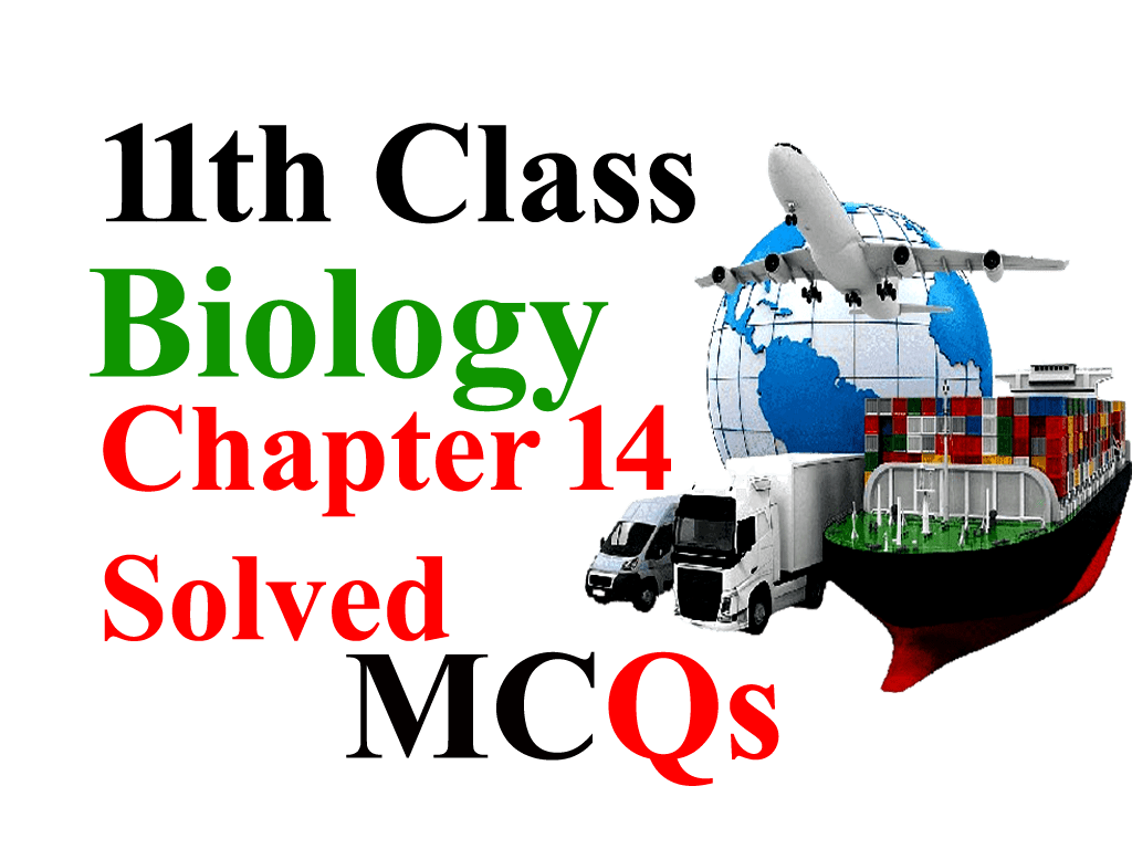 Class 11 Biology Notes Chapter 14 MCQs - Transport - Ilmi Hub